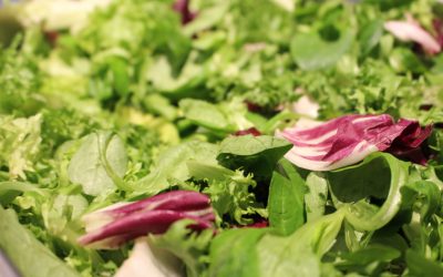 Salat Falafel (vegan)
